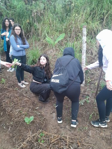 Estudos do Meio 2023: PETAR
