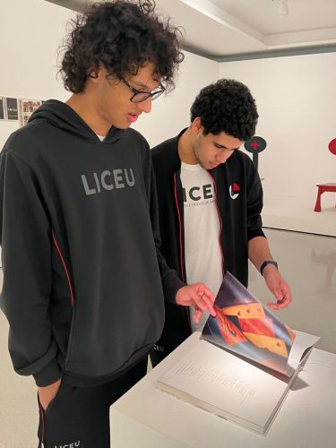 Gallery not found with "Estudos alias