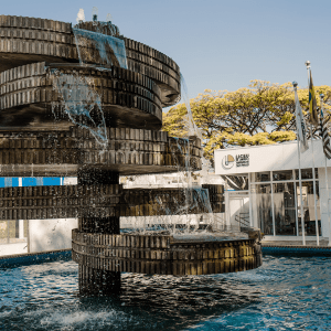 Escolas centenárias se adaptam aos novos tempos sem descartar tradição