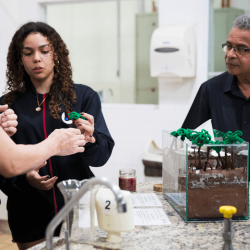 II TECC LICEU: um sábado de integração e descobertas II TECC LICEU: um sábado de integração e descobertas